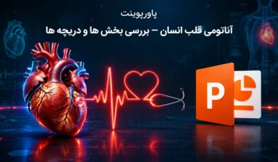 پاورپوینت آناتومی قلب انسان — بررسی بخش ها و دریچه ها