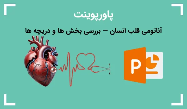 پاورپوینت آناتومی قلب انسان